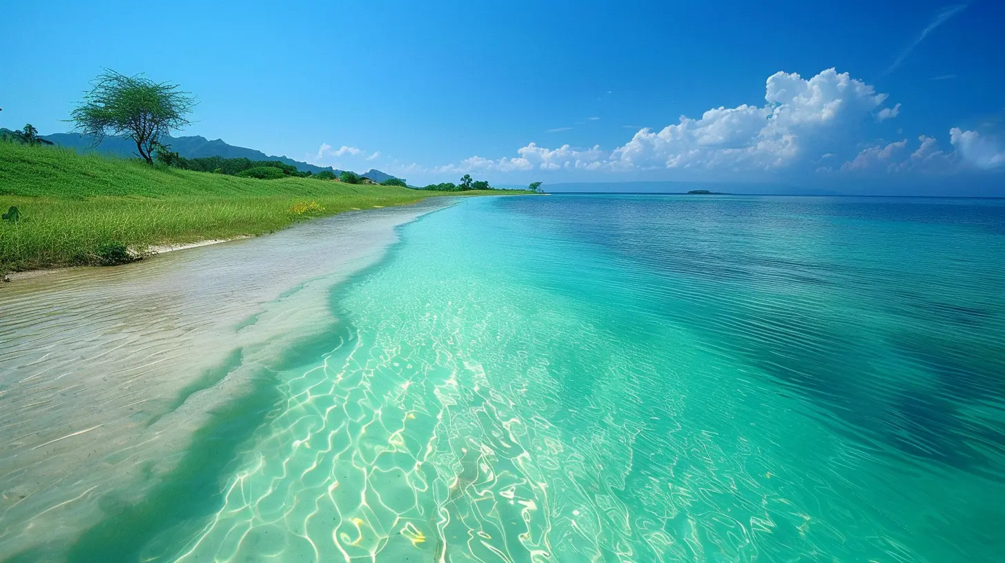 A Photographer’s Dream: Picture-Perfect Tropical Landscapes