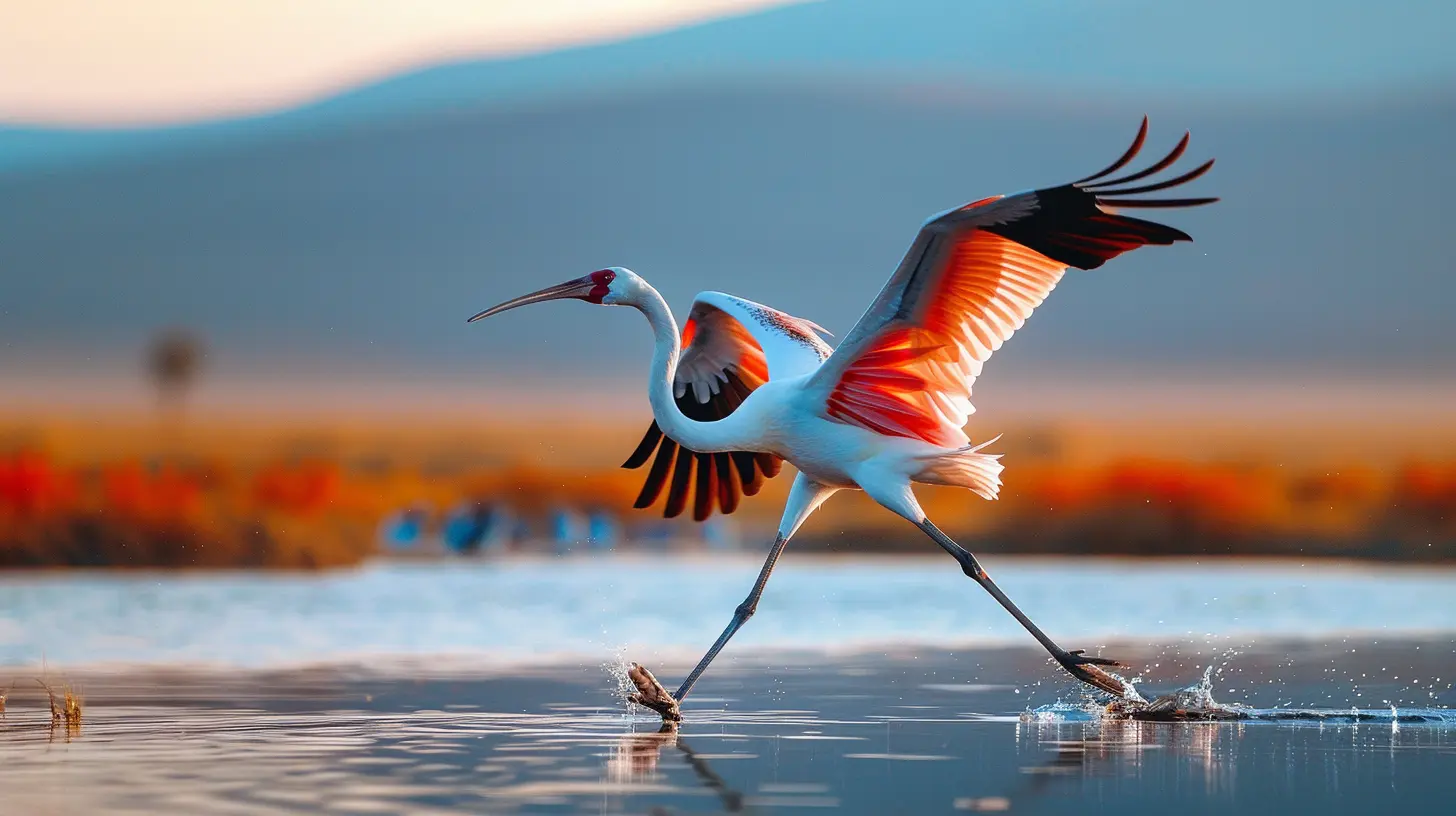 Africa’s Top Birdwatching Destinations for the Avid Bird Enthusiast