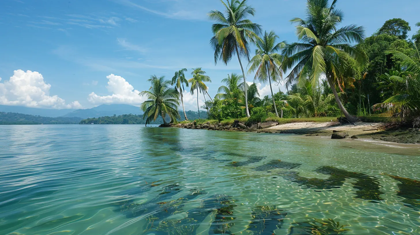 Coconut Palms and Clear Waters: Essential Tropical Destinations