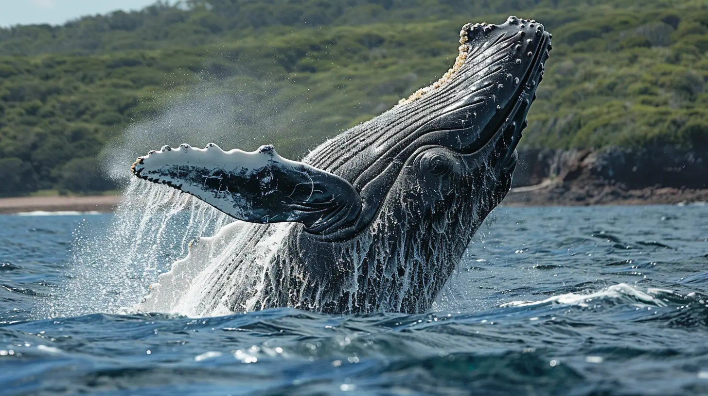 Cruising for Whales: Unforgettable Whale-Watching Expeditions