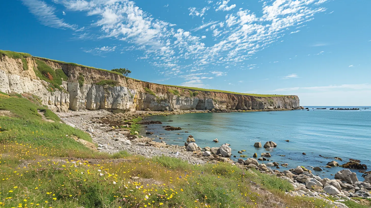 Discover the Best Coastal Drives in California