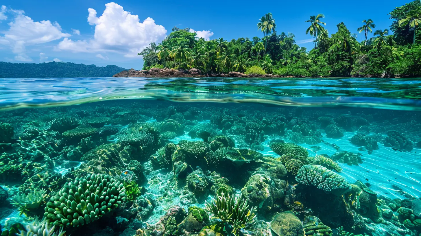 Dive Into Tropical Waters: Best Scuba Spots for Marine Enthusiasts