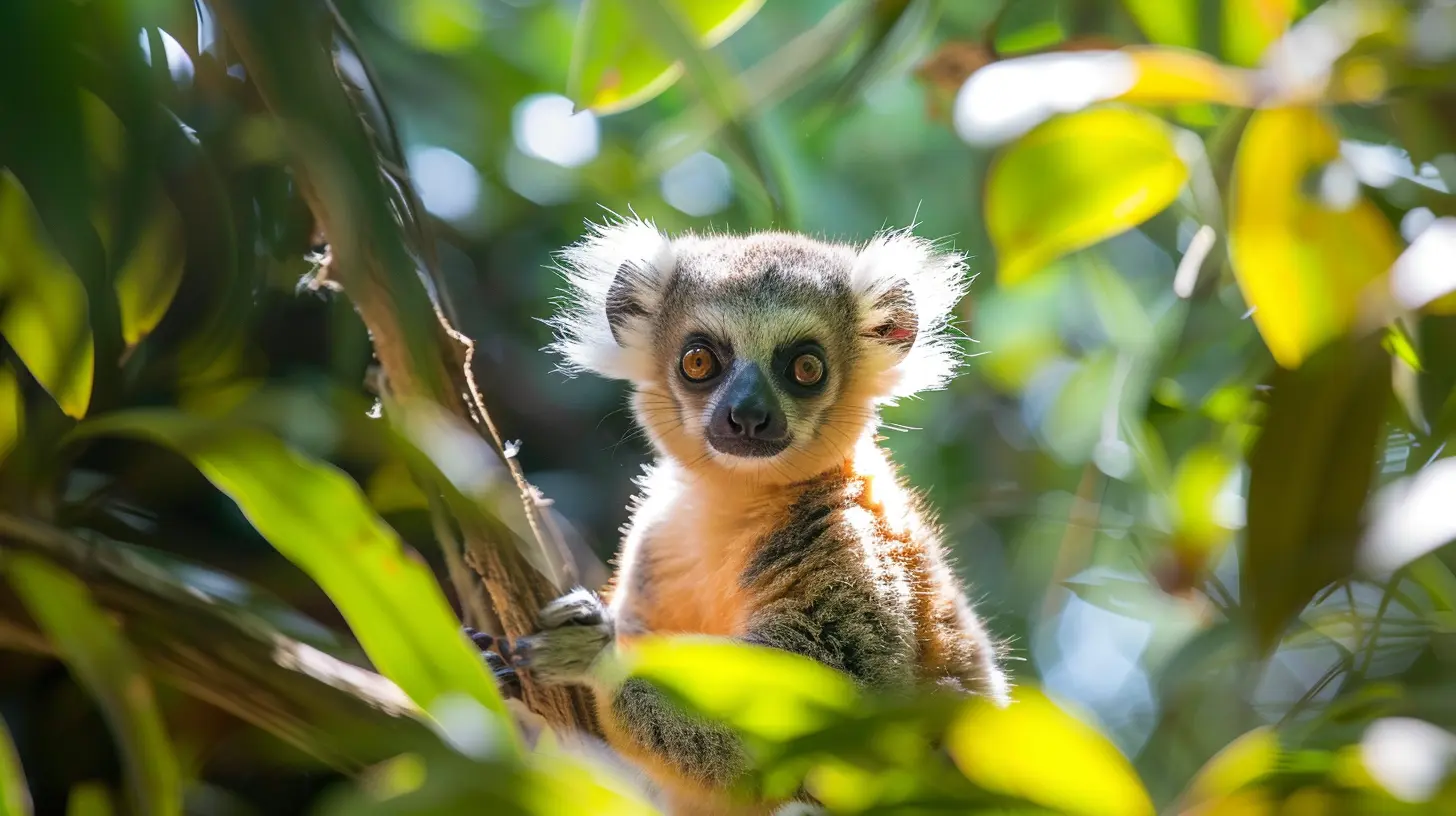 Experiencing Wildlife in Your Backyard: Hidden Gems Closer Than You Think