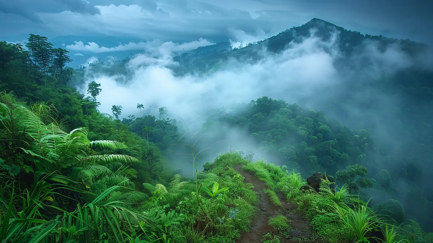 Explore Forgotten Forest Trails That Lead to Perfect Vistas