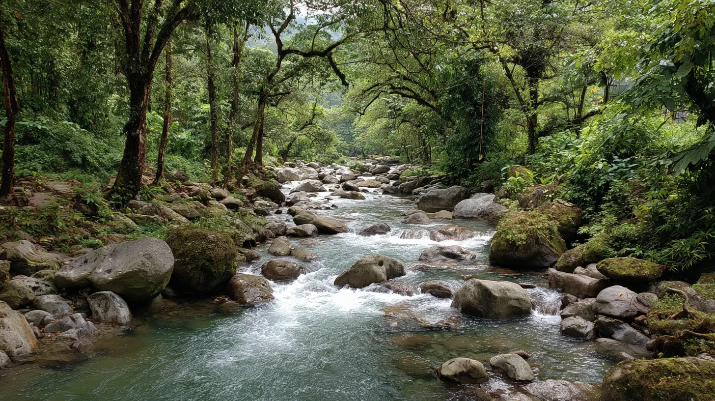 How to Experience the Best of Costa Rica’s Rainforests