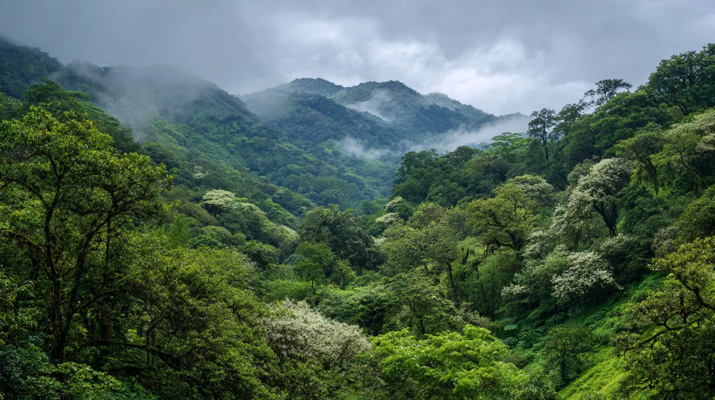 How to Experience the Best of Costa Rica’s Rainforests