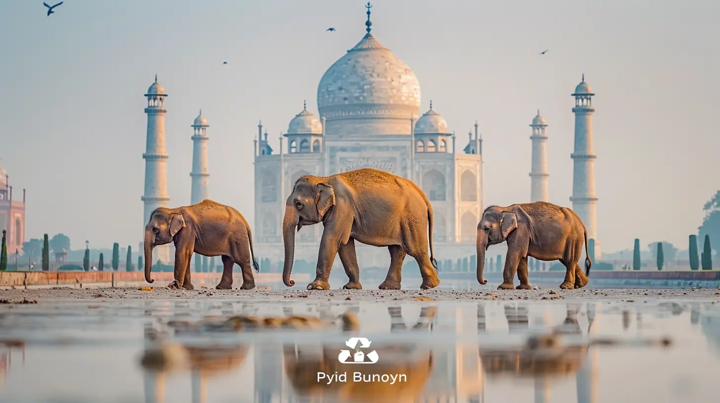 Surprising Budget-Friendly Destinations You Didn’t Know About