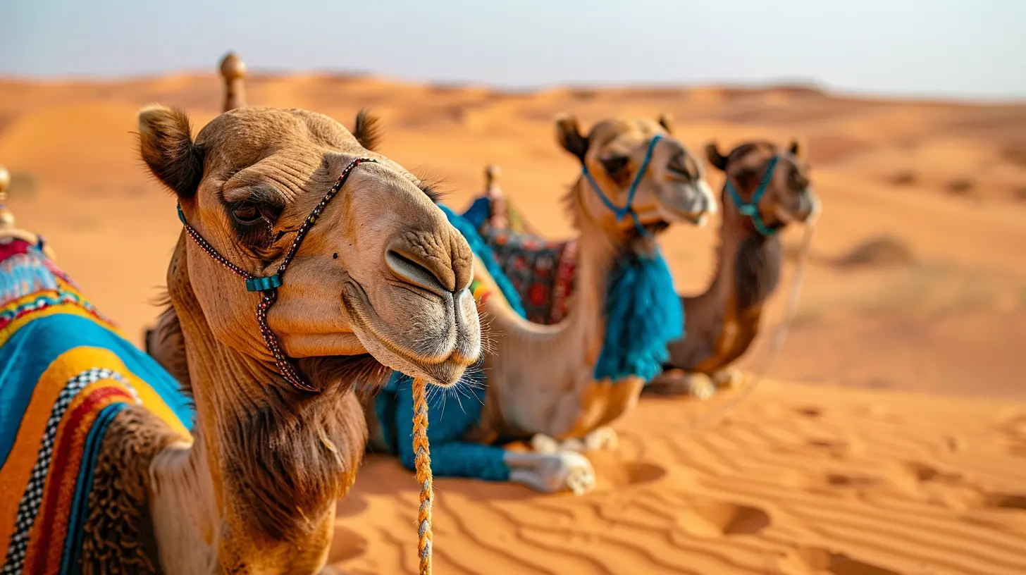 The Magic of the Sahara: Experiencing Life in the Great Desert