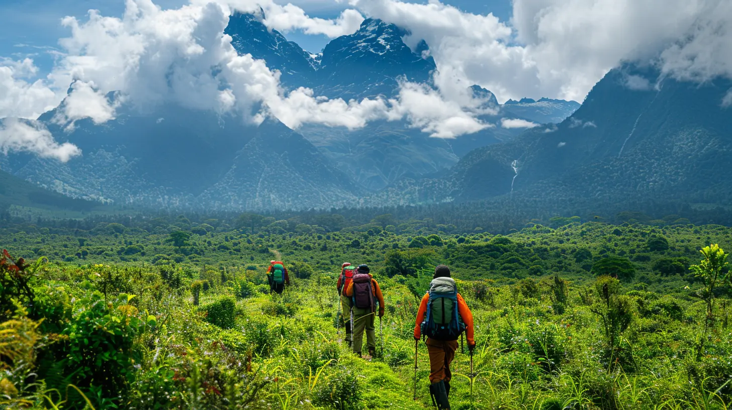 Why Uganda is a Paradise for Gorilla Trekking Enthusiasts