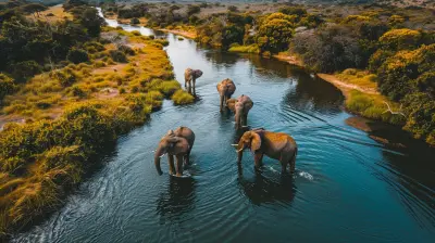 A Guide To Responsible And Ethical African Safari Tours