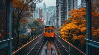 A Local's Guide to Public Transportation: Unique Rides You’ll Love