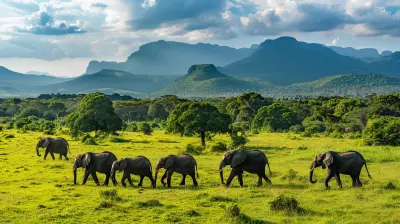 A Wildlife Lover’s Guide to Africa’s Best National Parks