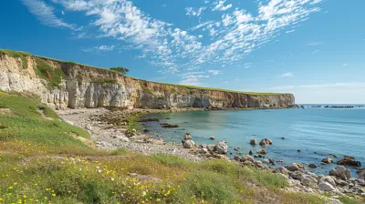 Discover the Best Coastal Drives in California