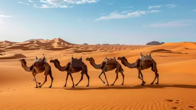 Escape to the Desert: Weekend Trips to Desert Oases