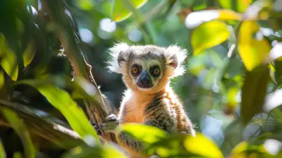 Experiencing Wildlife in Your Backyard: Hidden Gems Closer Than You Think