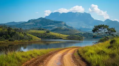 Exploring Madagascar Beyond The Lemurs And Rare Wildlife