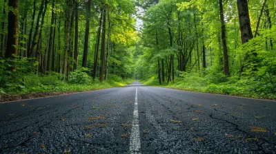 Forest to Sea: Diverse Road Trips Through Different Ecosystems