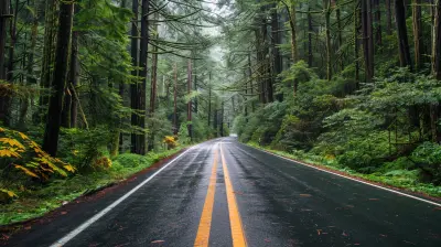 Forest to Sea: Diverse Road Trips Through Different Ecosystems