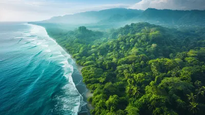 Forest to Sea: Diverse Road Trips Through Different Ecosystems