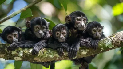 From Monkeys to Jaguars: The Best Wildlife of Central America