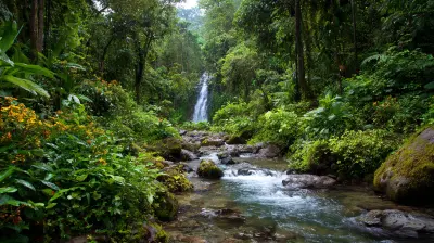 How to Experience the Best of Costa Rica’s Rainforests