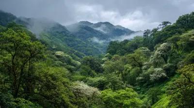 How to Experience the Best of Costa Rica’s Rainforests
