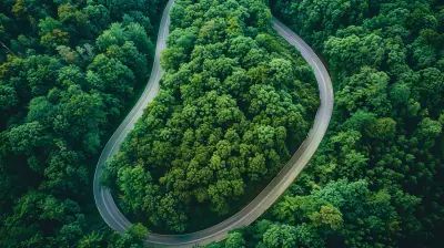 Road Trips for the Eco-Conscious Traveler: Sustainable Scenic Routes