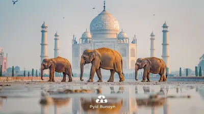 Surprising Budget-Friendly Destinations You Didn’t Know About