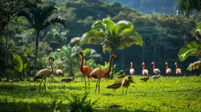 The Call of the Jungle: Experience Costa Rica’s Diverse Wildlife