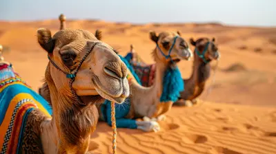 The Magic of the Sahara: Experiencing Life in the Great Desert