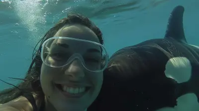 Up Close With Orcas Discover Ocean Predators In The Wild