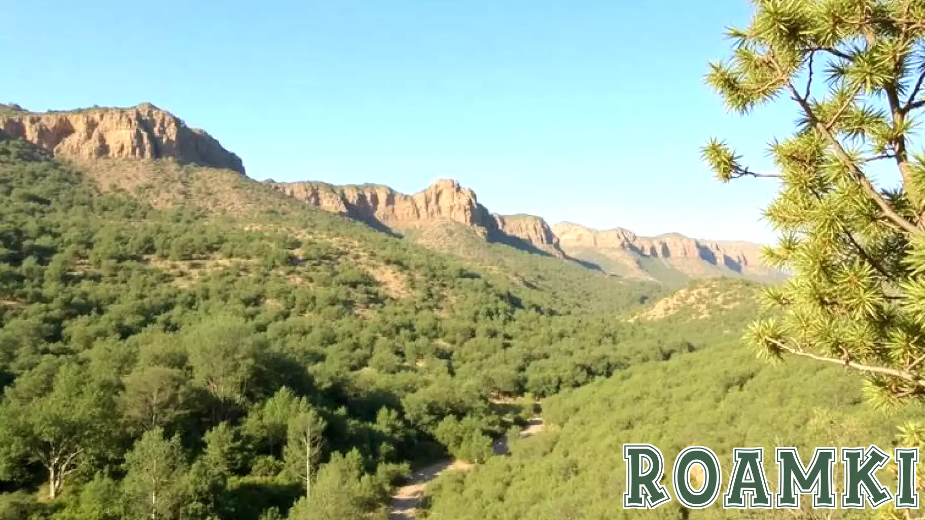 Dibeen Forest Reserve in Jordan Drives Eco-Tourism Growth with their Sustainable Development Programs, Heritage Workshops, Community Involvement and Conservation Projects - Travel And Tour World