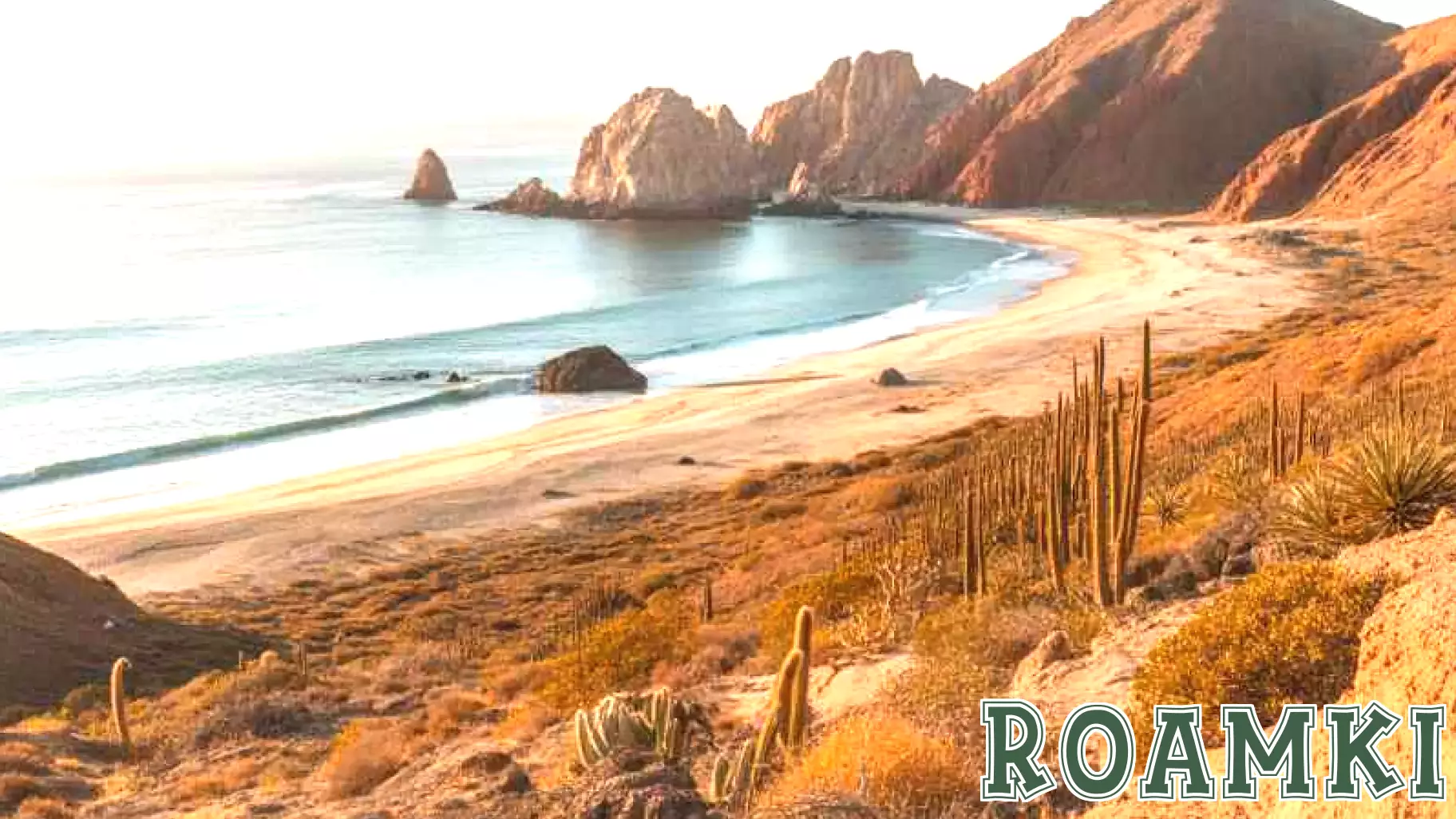 Eco-Tourism in Baja California Sur: How the New Tax Supports Environmental Preservation - Travel And Tour World