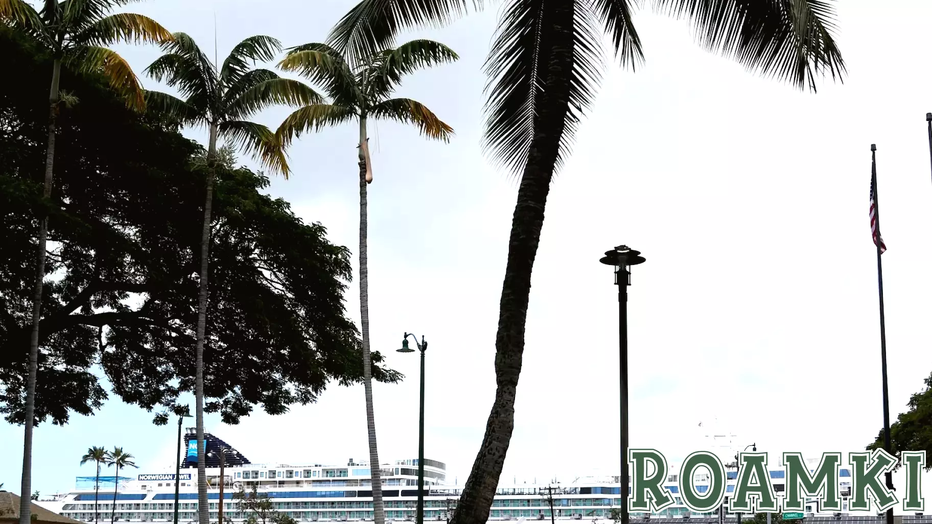 Federal Judge Approves Hawaii's Upcoming Climate Change Tax for Cruise Passengers