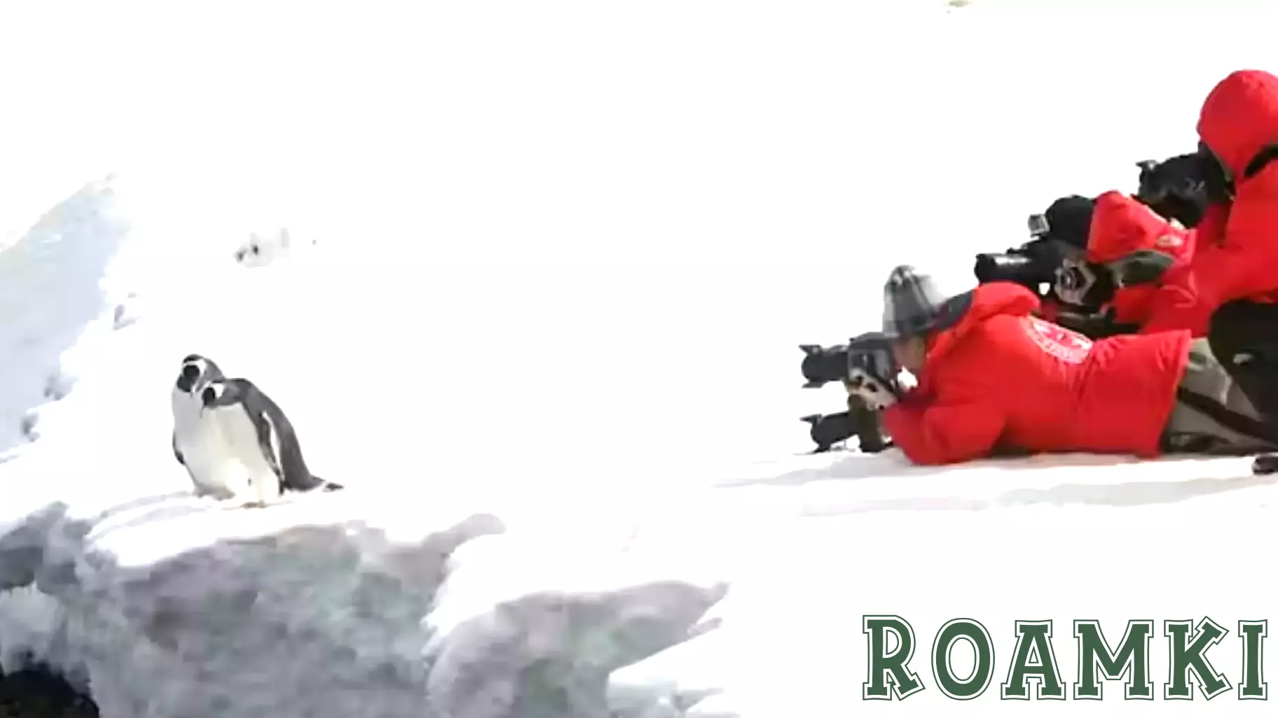 The Rising Threat of Unregulated Tourism in Antarctica