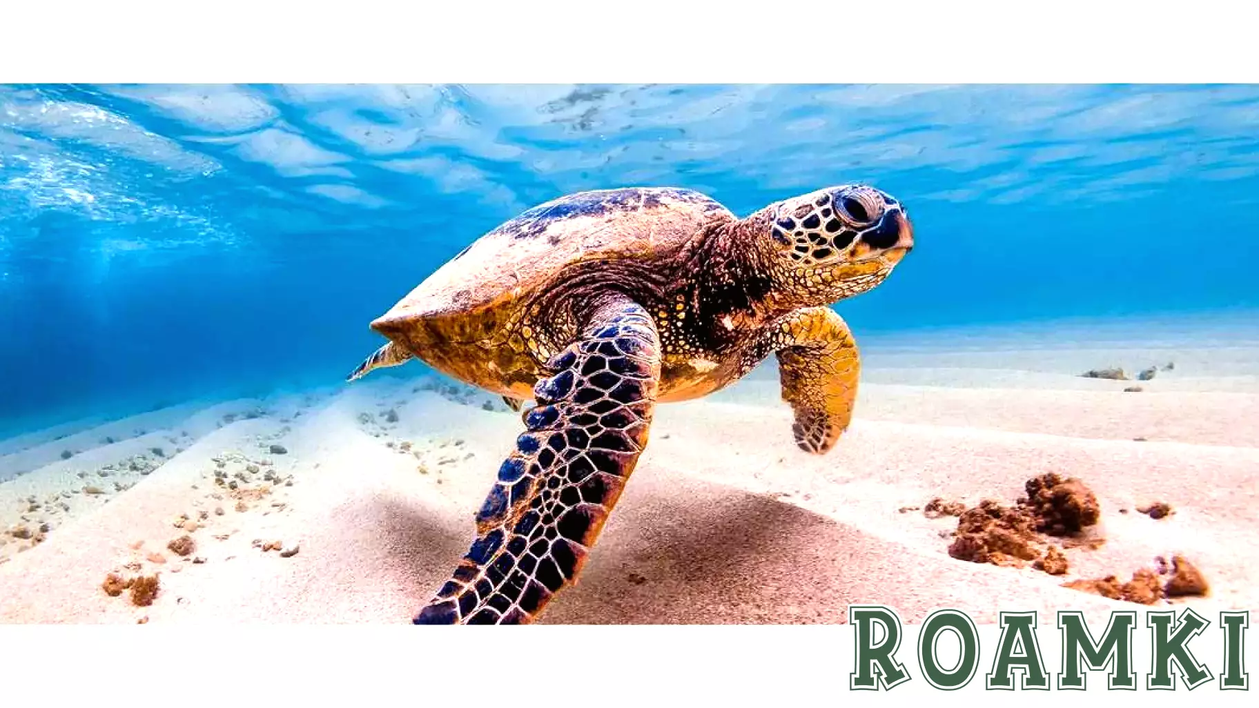 Tourism Takes Center Stage at UN Ocean Conference for Sustainable Development