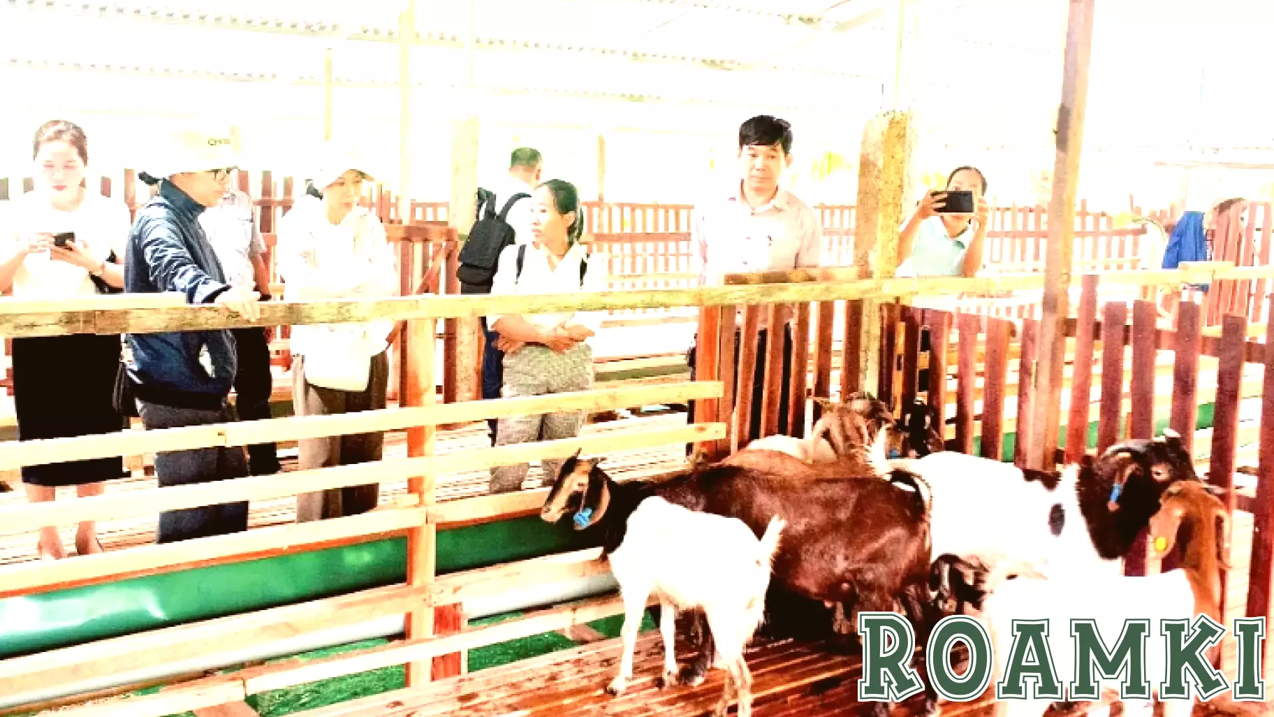 Transitioning Livestock Farming to Eco-Tourism Amid Climate Challenges