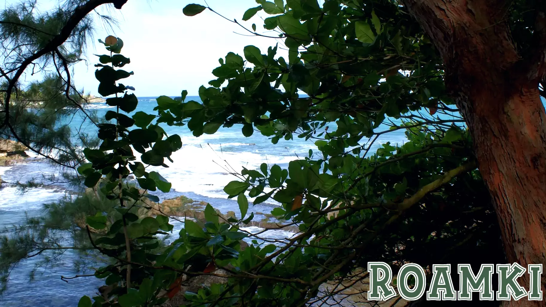 Who Cares About the Future Sustainability of Caribbean Resorts?