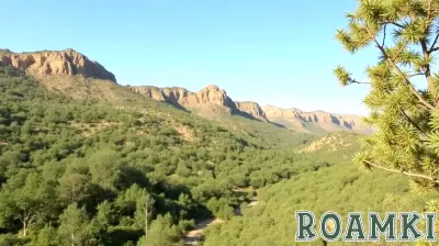 Dibeen Forest Reserve in Jordan Drives Eco-Tourism Growth with their Sustainable Development Programs, Heritage Workshops, Community Involvement and Conservation Projects - Travel And Tour World