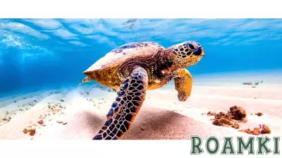Tourism Takes Center Stage at UN Ocean Conference for Sustainable Development