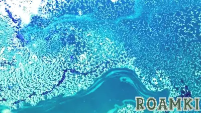 Toxic Algae Bloom Threatens South Australia's Tourism and Marine Life