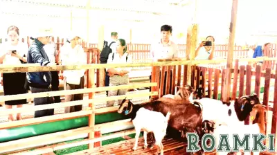 Transitioning Livestock Farming to Eco-Tourism Amid Climate Challenges