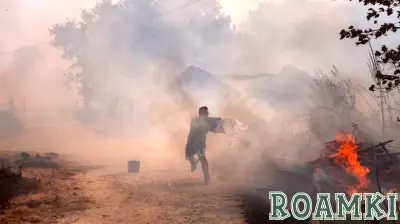 Warming Triggers a Chain Reaction of Disturbance in European Forests