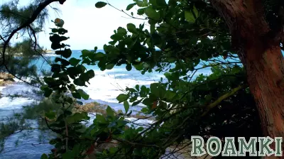 Who Cares About the Future Sustainability of Caribbean Resorts?